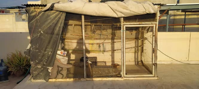Wooden pinjra (Jaal) and Iron Cage for sale