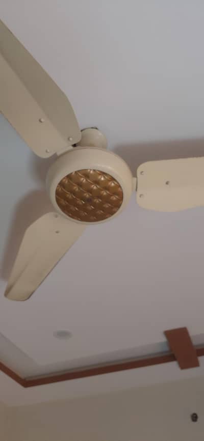 celling fan 4
