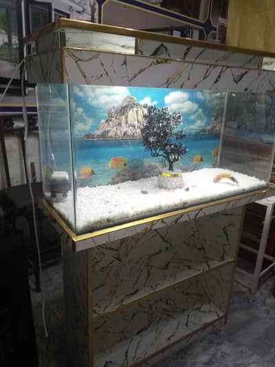 fish kerium