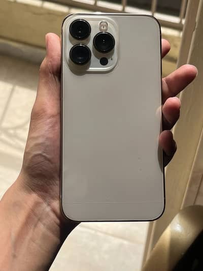 Apple iPhone 13 Pro