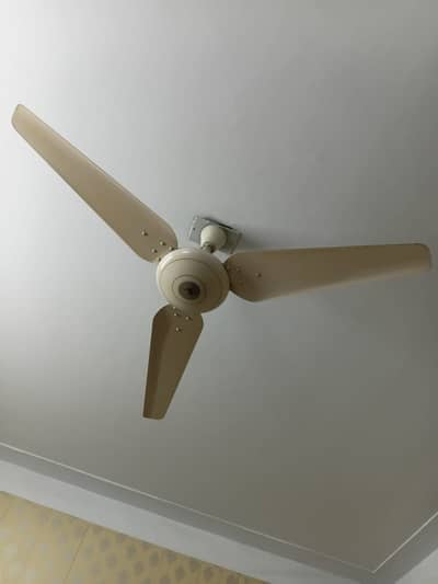 2 Fans for sale