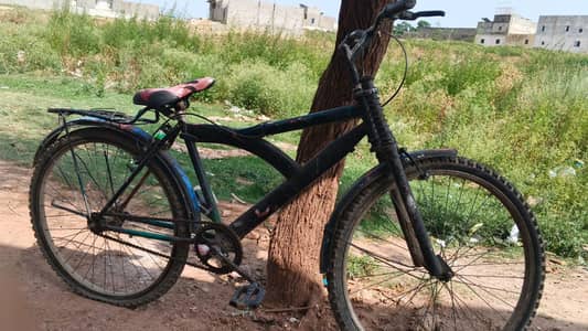 bicycle urgent sale 03162559498