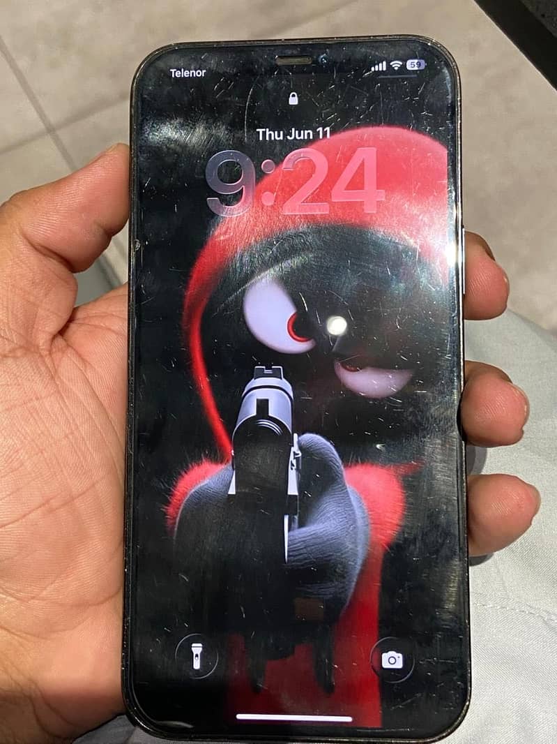 Apple iPhone 12 Pro Max 5