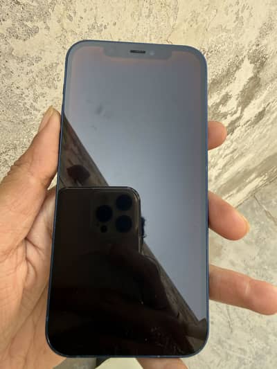 iphone 12 JV