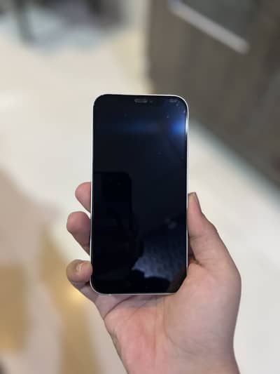 Apple iPhone 12 Dual pta approved