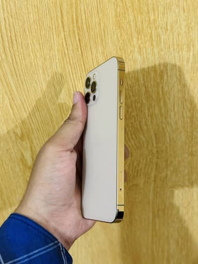 Apple iPhone 12 Pro 256 gb factory unlock