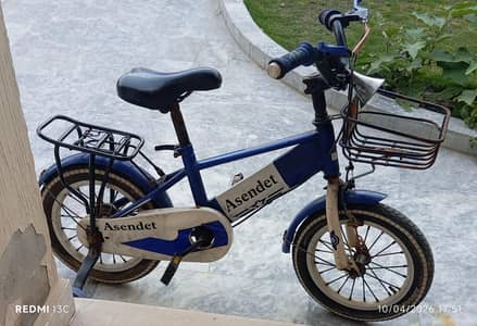 Kids' Bicycle - Adjustable seat