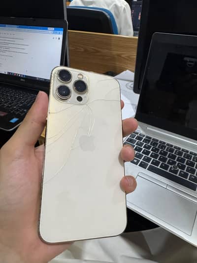 Apple iPhone 13 Pro Max