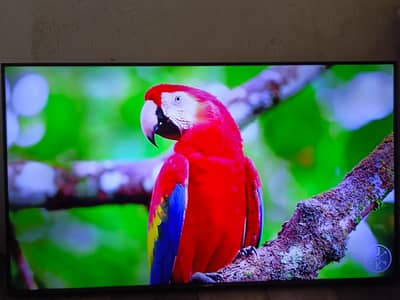 SAMSUNG 50"INCH LED TV UA50J5100AR