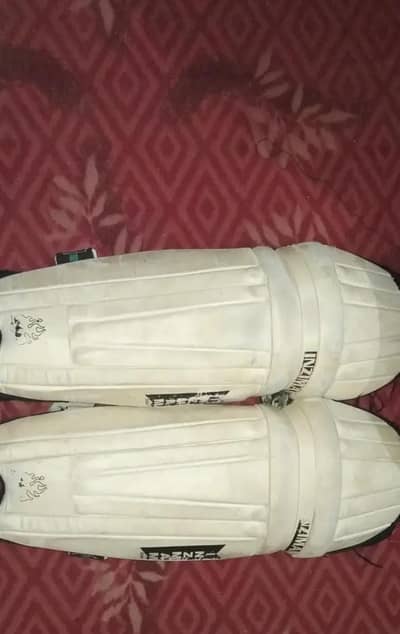 Cricket Kit With A Free Hard Bowl