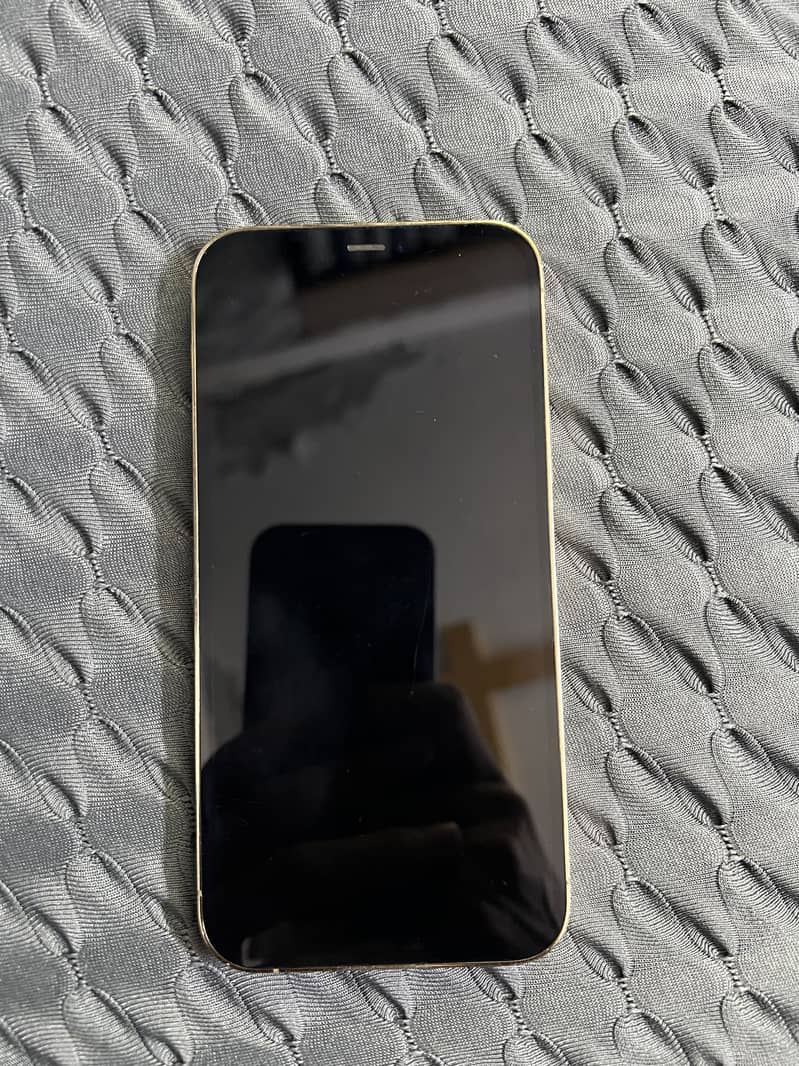 Apple iPhone 12 Pro 1