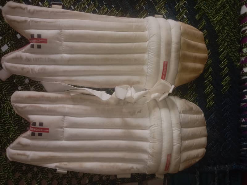 cricket kit 1