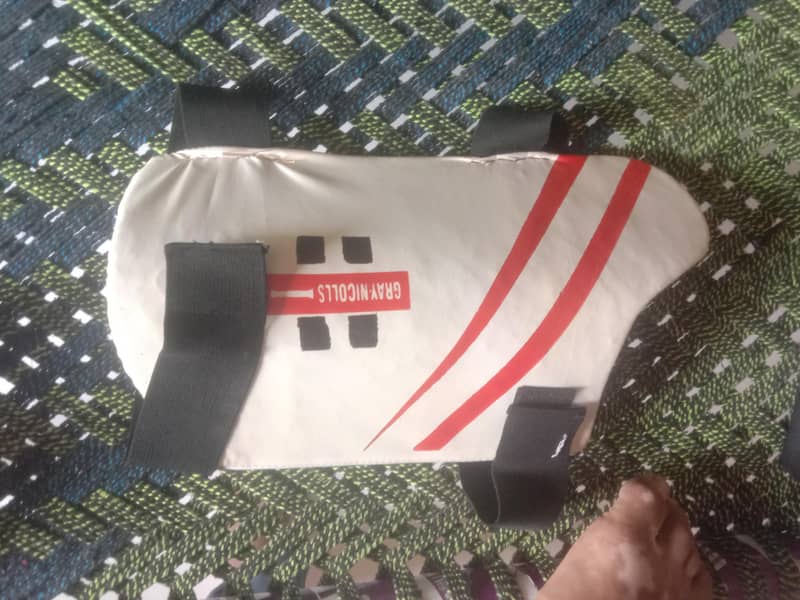 cricket kit 6