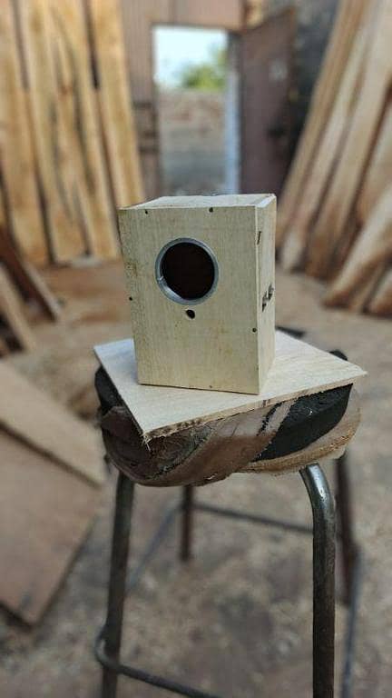 Breeding box for budgies in mango wood 8x6x5