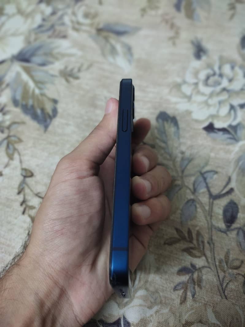 Apple iPhone 12 mini 1