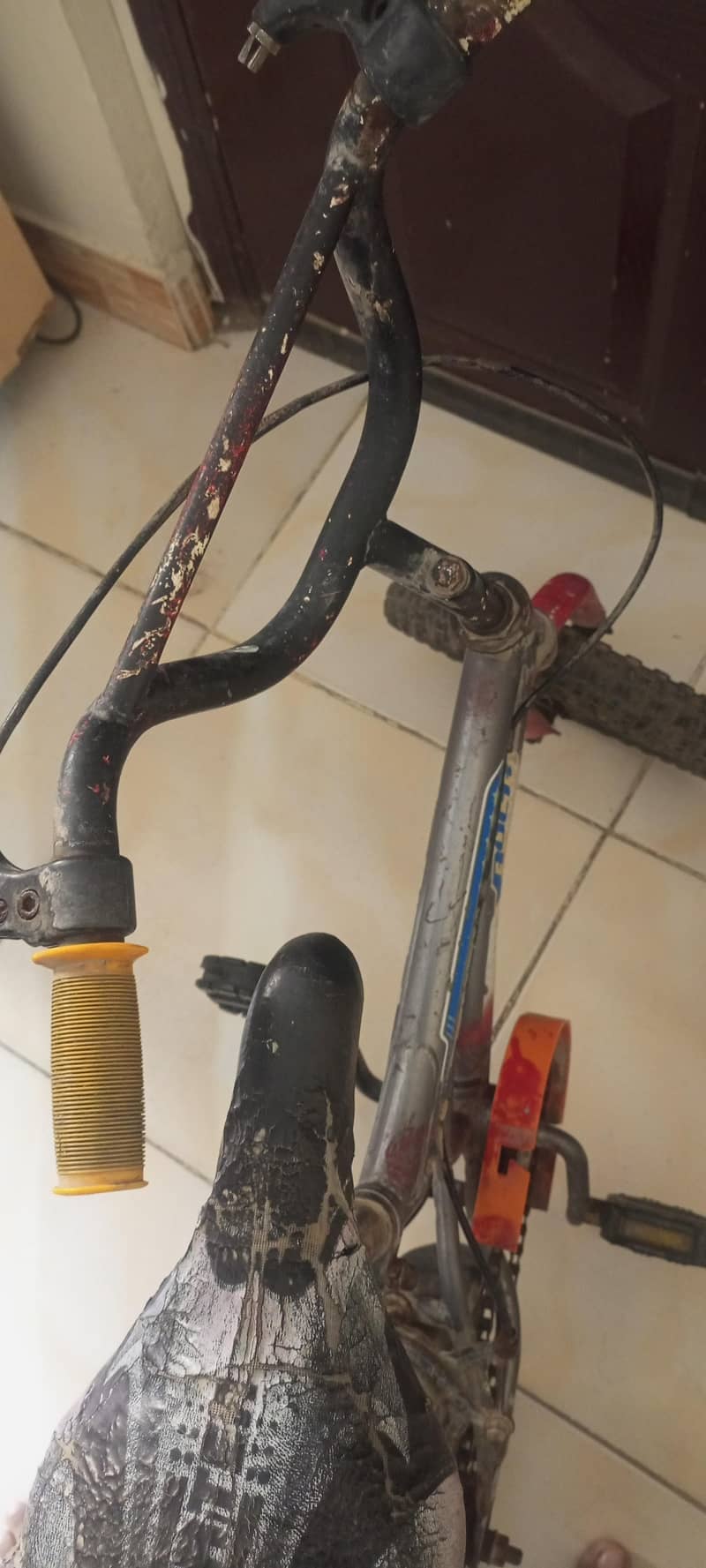 Bicycle 2