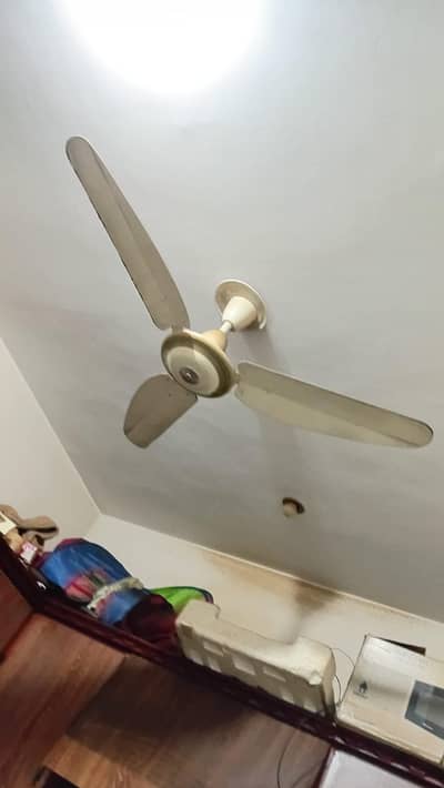 celling fan with good condition
