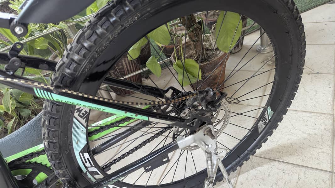 plus full size imported cycle 2