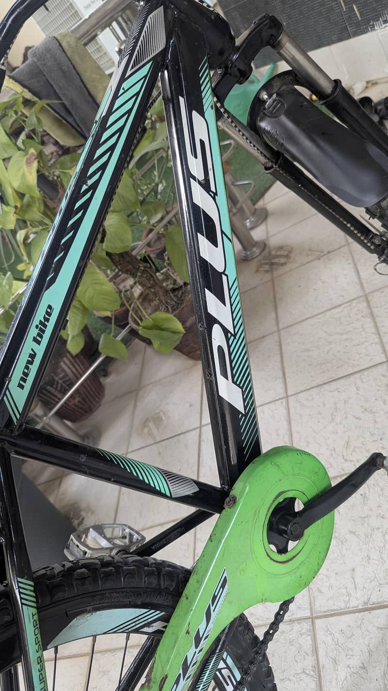 plus full size imported cycle 3