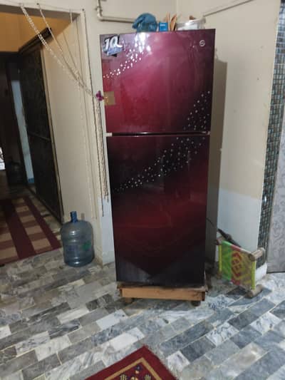Pel Glass Door Refrigerator Double Door