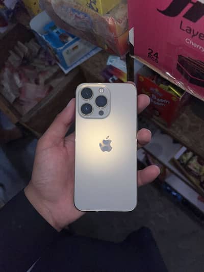 Apple iPhone 13 Pro jv