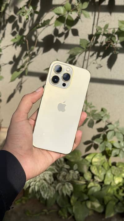 Apple iPhone 13 Pro PTA Approved
