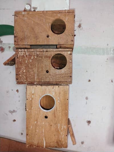 Boxes,pots Lotkiya,feeder