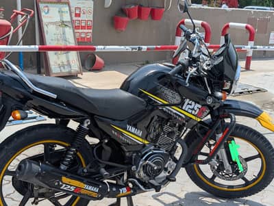 Yamaha ybr 125g