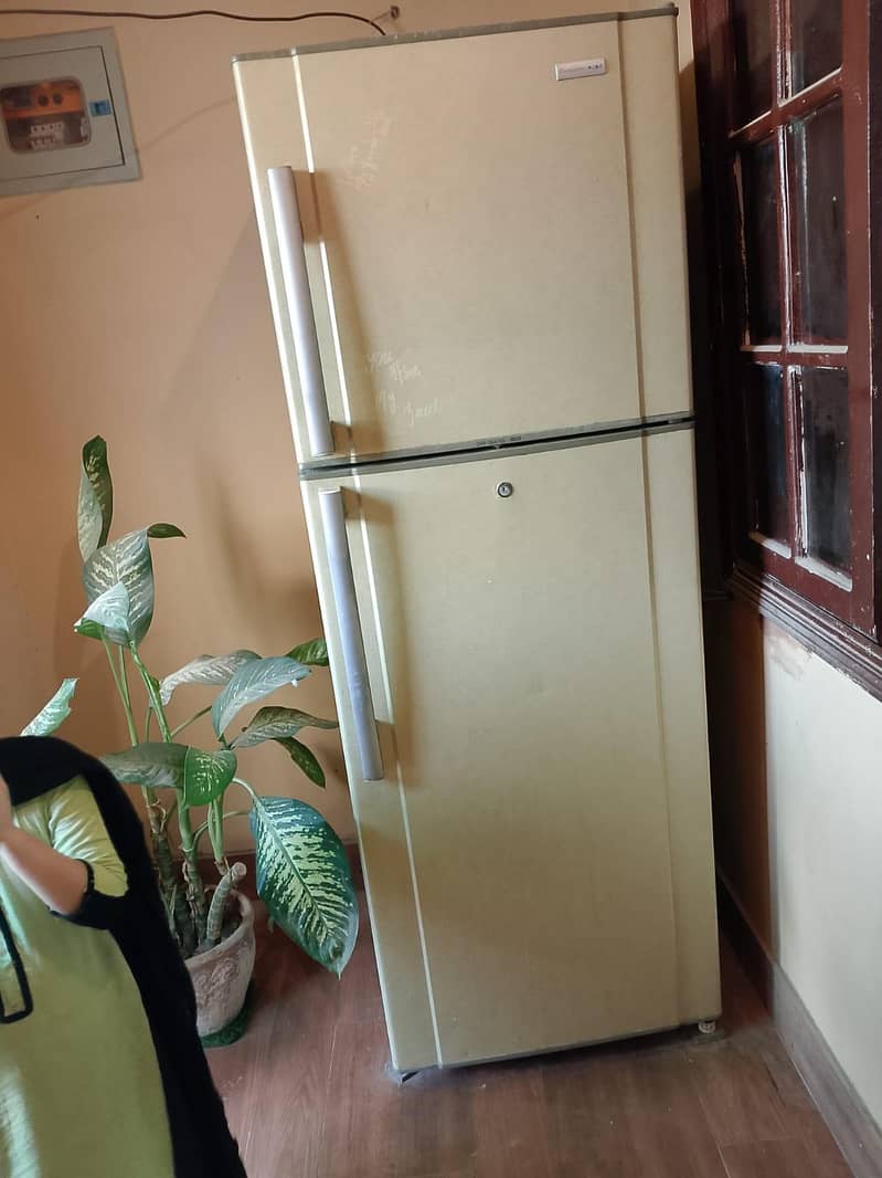 refrigerator 1