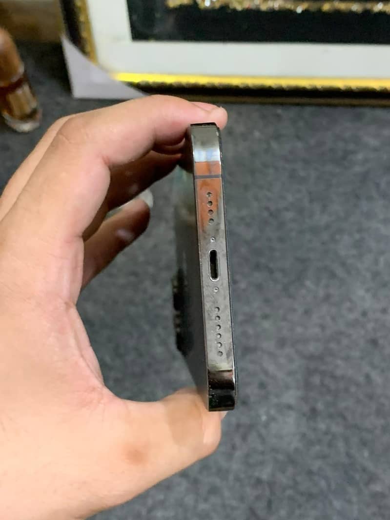 Apple iPhone 13 Pro Max 1