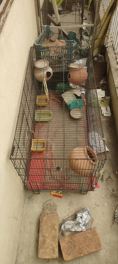 Cage for birds
