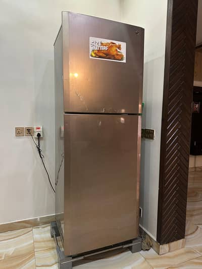 PEL jumbo refrigerator 2024 model