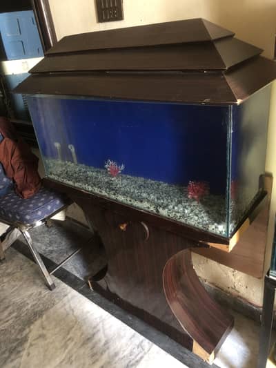 3 feet Fish aquarium > Read add