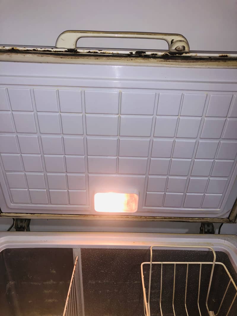 Waves D freezer 6