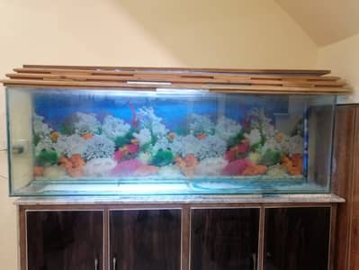 Fish Aquarium | Fish Tank | Complete Setup | Filter & Heater