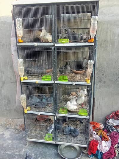 4 plus 8 dabbe wala pinjra for sale