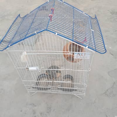 Parrot Cage