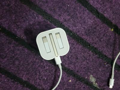 iPhone original charger