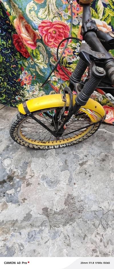 kid cycle
