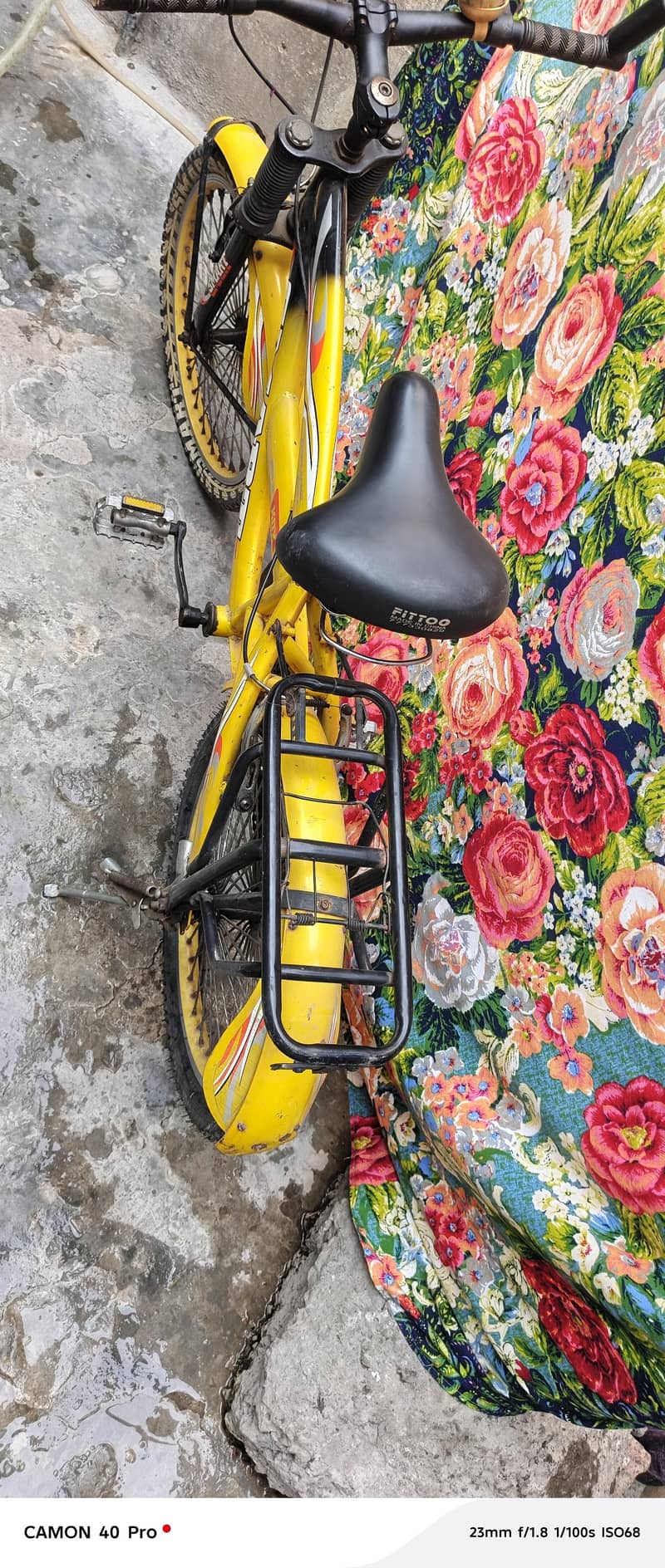 kid cycle 2