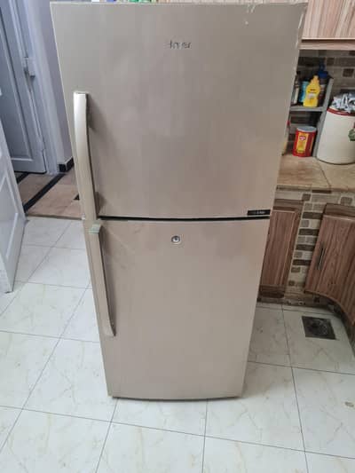 Great condition Haier Fridge within Warranty