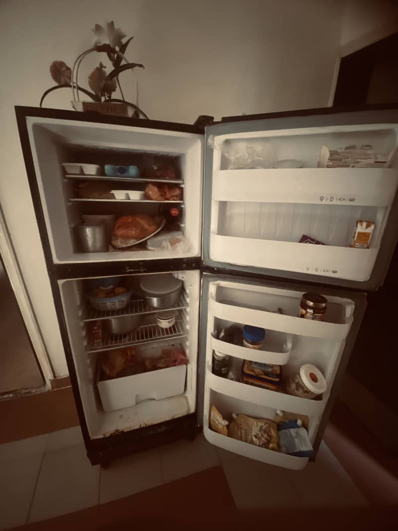 Orient Fridge 3