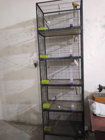 birds Cage for sale