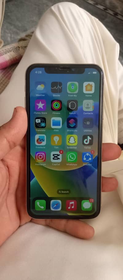 Apple iPhone X