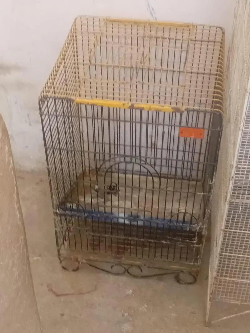 urgent sale