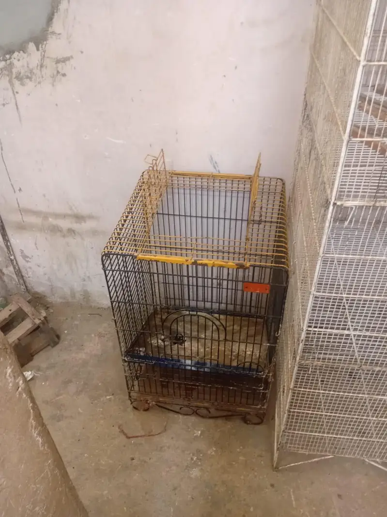 urgent sale — photo 2