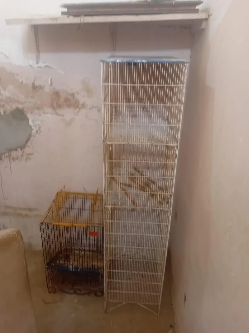 urgent sale — photo 3