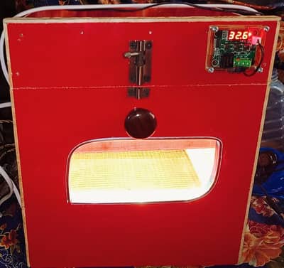 Eggs incubator
