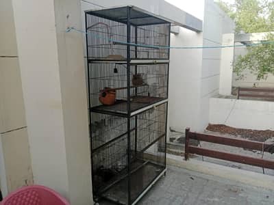 birds cage