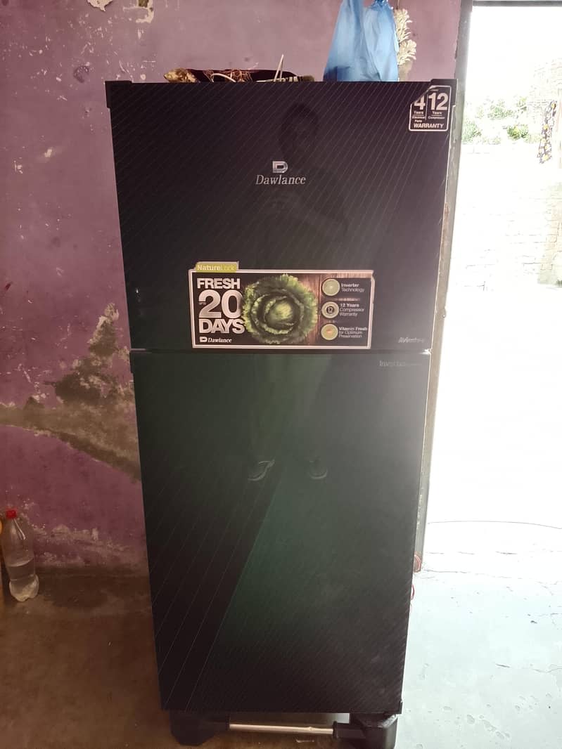 large 1